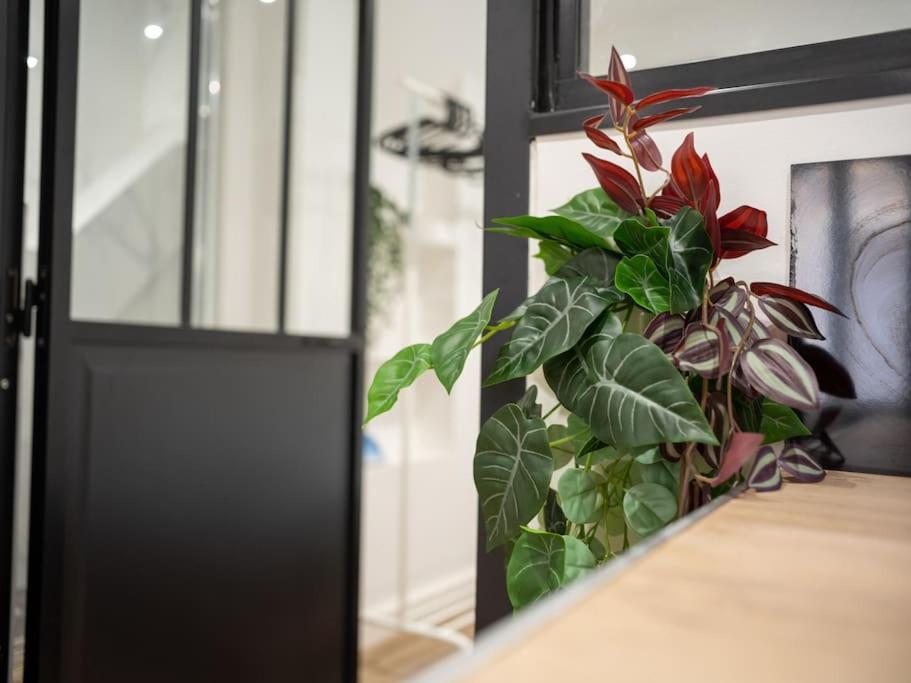 Appartement Tout Equipe Au Coeur Du Panier Vieux Port Marseille Ngoại thất bức ảnh